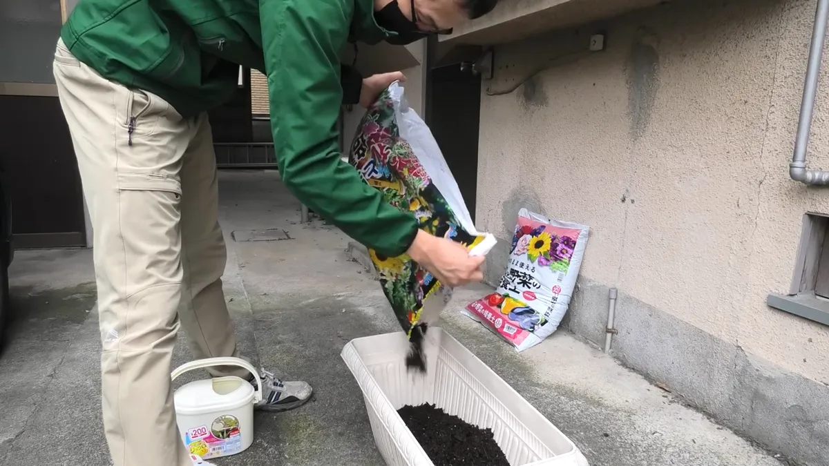 ラディッシュ栽培のために土を入れる様子
