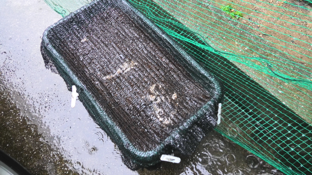 雨水をしっかり当てる