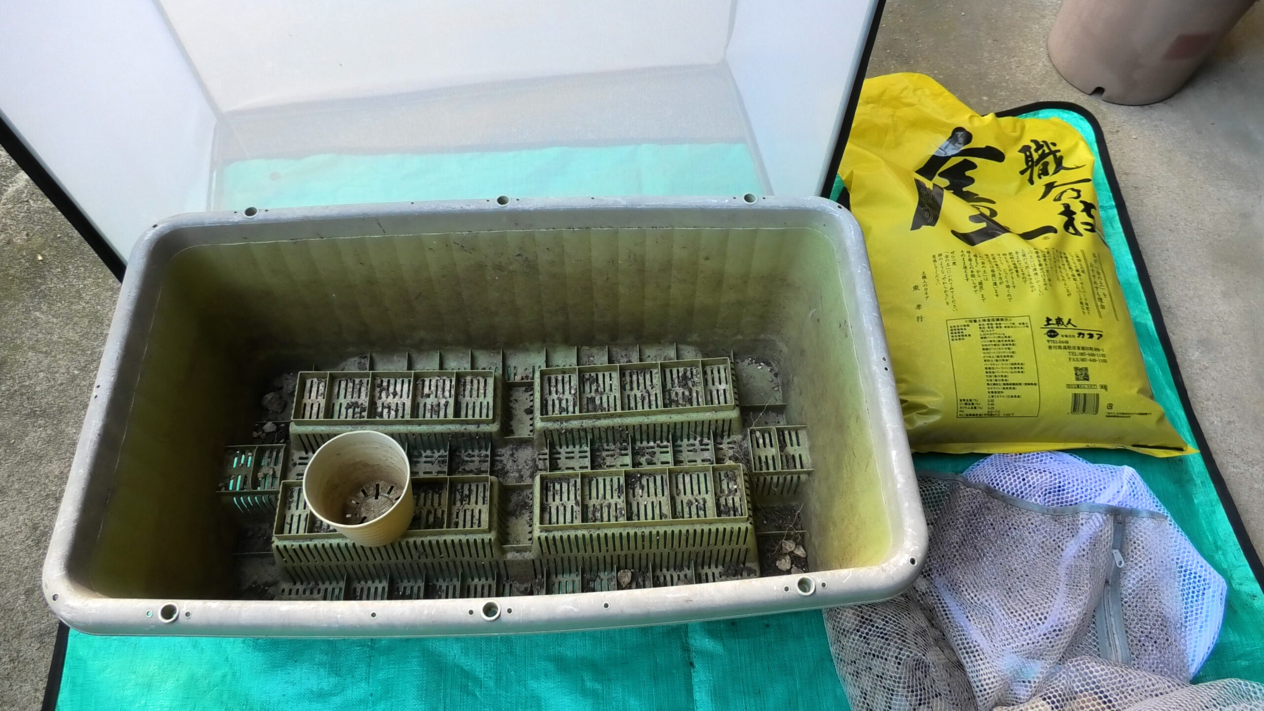 ミニ白菜栽培の準備物一覧