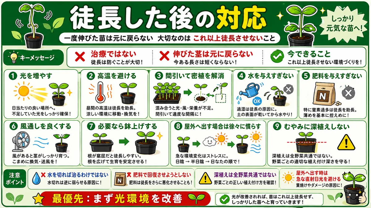 徒長したあとの対応と対策をまとめたイラストです